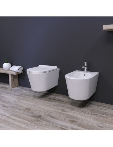 COPPIA SANITARI SOSPESI SERIE NEMO DELLA NERO CERAMICA+COPRI WC SOFTCLOSE